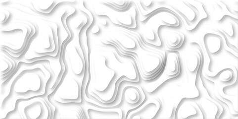 Abstract wavy line 3d paper cut white background. Topographic canyon geometric map relief texture with curved layers and shadow. paper cut 3d render topography abstract ,beautiful white color.