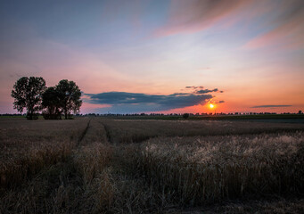 Wiejski Krajobraz o zachodzie słońca