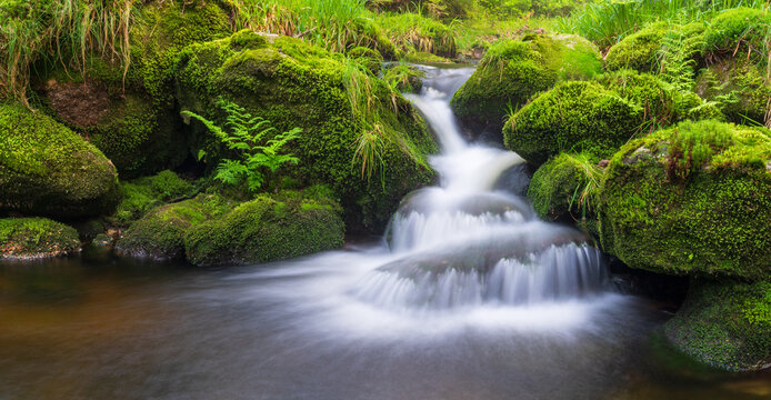 Kleiner Wasserfall im Nordschwarzwald, Baden-W&uuml;rttemberg, Deutschland