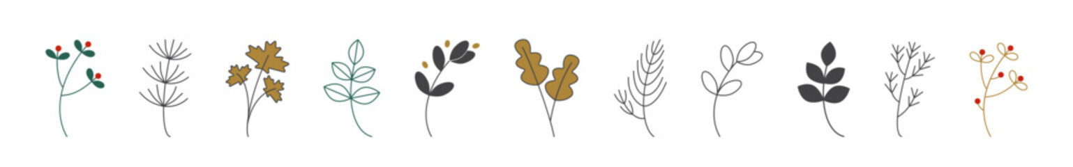 Leaf icon set. Leaves plants icon. Botanical plant sign collection. EPS 10