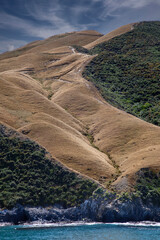 Unusual Landscape as we sail down Marlborough Sounds, South Island, New Zealand.