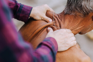 An adult woman, a professional doctor, makes a relaxing massage to a sick old elderly gray-haired retired man with scoliosis on his back. Photography, close-up portrait, lifestyle. - obrazy, fototapety, plakaty