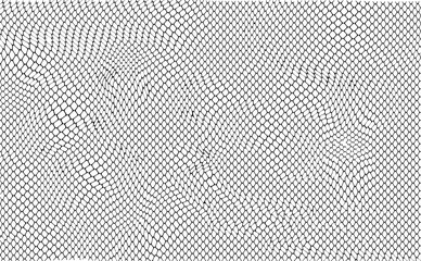 Snake skin texture, reptile texture for wild design element. Fully editable graphic resource. Vector Formats © Yero06