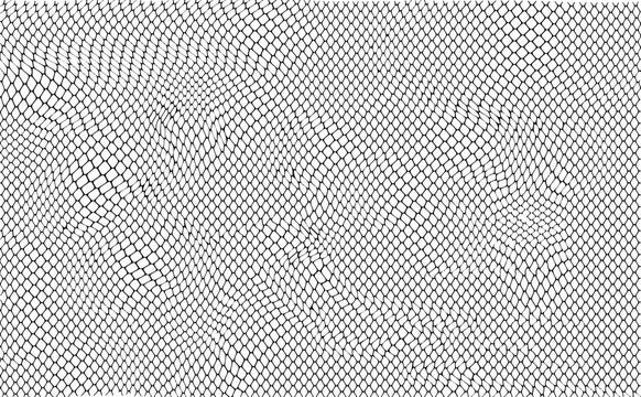 Snake skin texture, reptile texture for wild design element. Fully editable graphic resource. Vector Formats