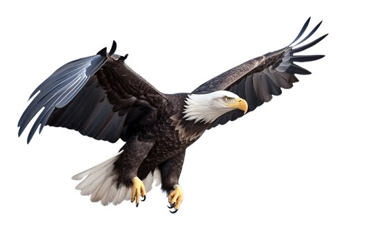 Image of an eagle is spreading its wings and flying. Birds. Wildlife Animals. Illustration, Generative AI.