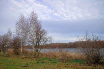 Obraz premium dry calm empty autumn morning landscape scenic view with bare branches trees and bushes, river stream background and cloud scape