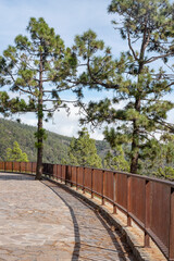 Resting area in the forest near the road heading towards the volcanic national park, Las Canadas del Teide, picturesque lookout over the southern coast of the island of Tenerife, Canary Islands, Spain