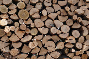 stack of firewood