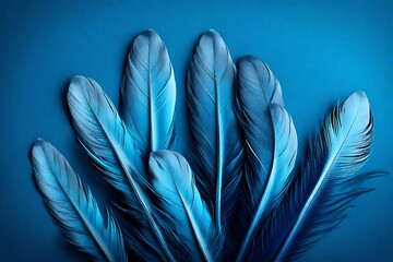 blue feather on blue background
