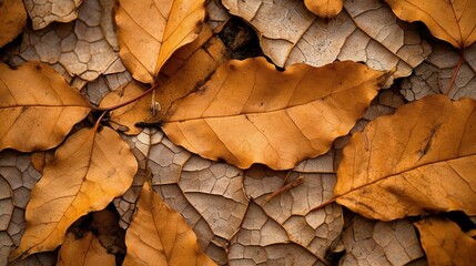 autumn leaves background