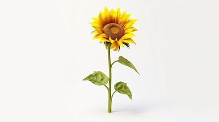 Fototapeta premium sunflower isolated on white