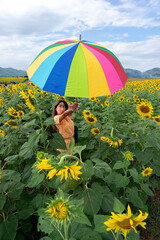 Asian woman holding colorful umbrella in yellow sunflower field