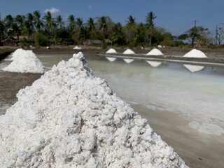 view of salt production on the seafront