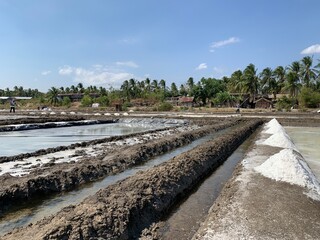 view of salt production on the seafront