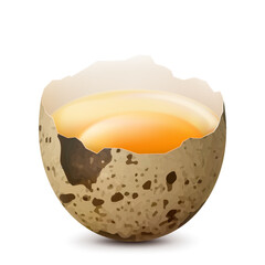 Half of broken quail egg with a yolk isolated on a white background. Raw ?hicken egg smashed. Healthy food with high protein. Realistic 3d vector illustration