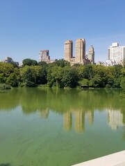Fototapeta na wymiar central park city in New York