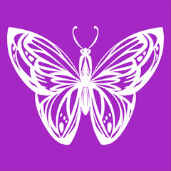 vector illustration butterfly drawing stylization