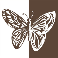 vector illustration butterfly drawing stylization