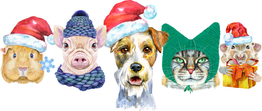 Border from watercolor portraits of dog, guinea pig, cat, mini pig, and rat