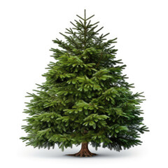 Green Christmas fir tree for new year decoration isolated on white