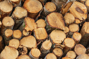 Pile of cut lumber wood .