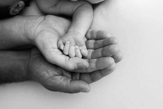 Three palms of a happy family. Small newborn hand with tiny fingers. The palm of parents, father and mother holds the handle of a newborn. Studio macro shot, black and white photo.