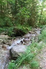 Wasser fließt den Pletzgraben bei Schönau am Königssee in den Berchtesgadener Alpen herunter.  