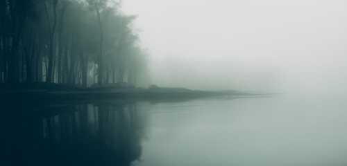 A lazy river in a fantasy forest background Riverside in a mysterious and scary forest Smog in the forest dark tone image
