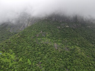 misty morning in the forest on mountain
