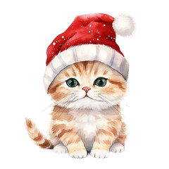 Cat with santa hat