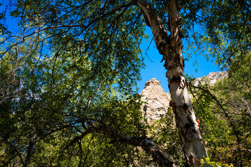 mountains, nature, landscape, sky, river, plants, rocks,