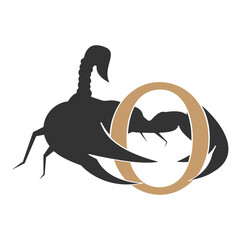 letter and scorpion vector logo illustration design