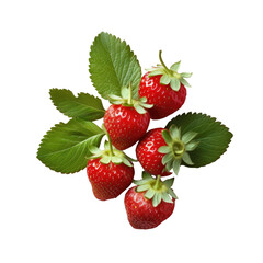 transparent background showcases ripe leafy strawberries