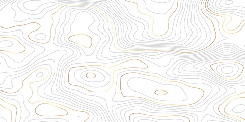 Fototapeta na wymiar Topographic contours map background. Topography geographic lines background. White paper curved reliefs background. Topography landscape and vintage outdoors style.