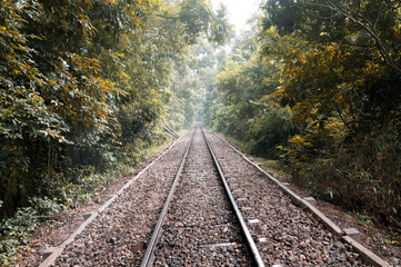 Obraz premium Railway line in the forest. Selective focus on rails. Sylhet, Bangladesh