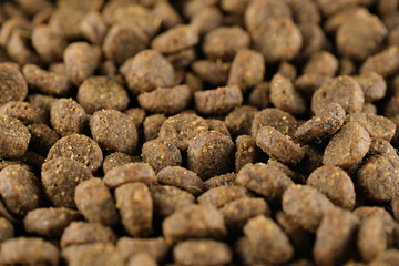 Pets Feed. Dry Animal Feed, Top View. Dry Food for Puppies or Dogs close up