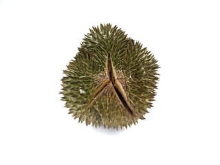 Ripe durian fruit, on a white background