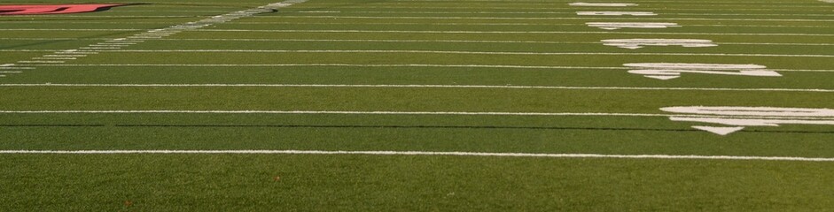 Fototapeta premium Artificial Turf on a Football Field