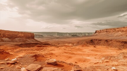 Fototapeta premium A photograph of a landscape