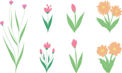 Blooming flowers flat hand drawing vector illustration
