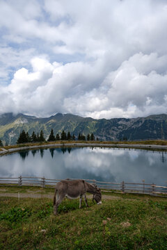 Trentino Alto Adige, the pearl of Italy