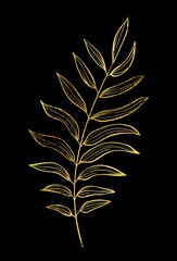 Hand drawn of wild herb. Golden plant drawing. Sketch style botanical vector illustration on black