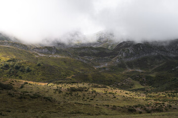 Niebla en la montaña