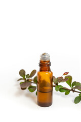 Essential oil roll on bottle next to a Berberis thunbergii 
