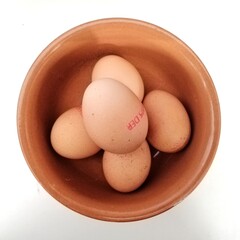 uova in ciotola di terracotta appena deposte in una azienda biologica italiana