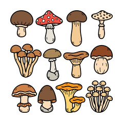 Mushroom Doodle Illustration