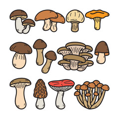 Mushroom Doodle Illustration