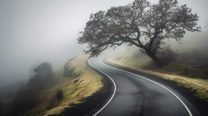 Road covered in fog