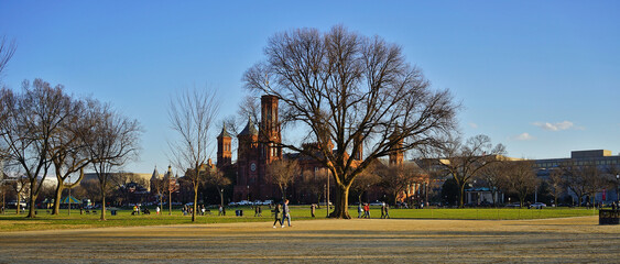 Washington, DC, USA: view of the castle on National Mall during sunny winter day