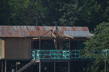 wooden house